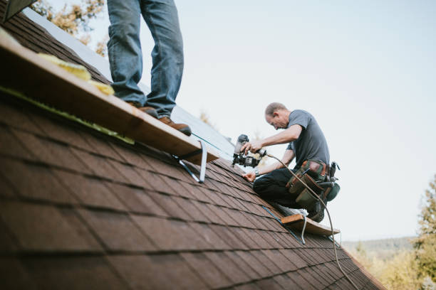 Fast & Reliable Emergency Roof Repairs in La Vista, NE